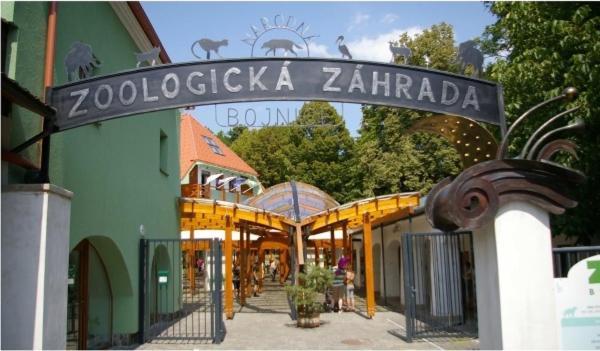 Rezidencia Pod Zamkom Bojnice Apartman Luna Extérieur photo